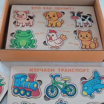 Игрушка Счастливкин сортер: отзыв пользователя Детский Мир