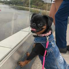 Фото отзыва 10292975