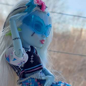 Кукла модельная Monster High Frankie: отзыв пользователя ДетМир