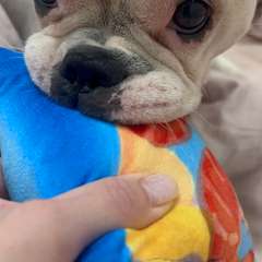 Фото отзыва 9902175