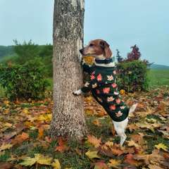 Фото отзыва 10752574