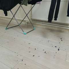 Фото отзыва 10552523