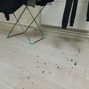 Толстовка Futurino: отзыв пользователя Детский Мир