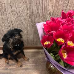 Фото отзыва 11193322