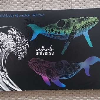 Скетчбук Prof-Press Обитатели глубин 40л А5 СБ40-7191: отзыв пользователя ДетМир