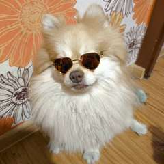 Фото отзыва 10651136