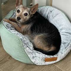 Фото отзыва 10491625