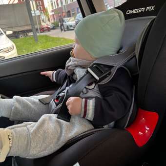 Автокресло Babyton Omega Fix Black-Grey Isofix 1/2 (9-25 кг) черный: отзыв пользователя ДетМир