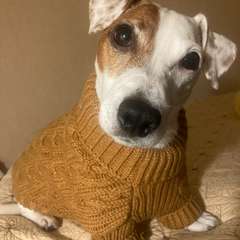 Фото отзыва 10618652