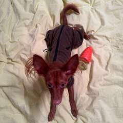 Фото отзыва 10731283