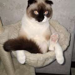 Фото отзыва 10916754