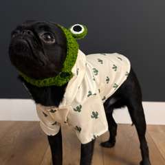 Фото отзыва 10948151