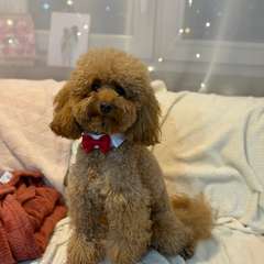 Фото отзыва 10873357