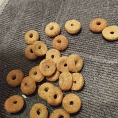 Фото отзыва 10486909