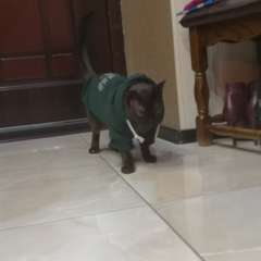 Фото отзыва 11063871