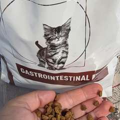 Фото отзыва 10959158