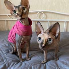 Фото отзыва 10757090