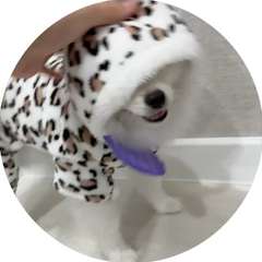 Видео отзыва 10617678