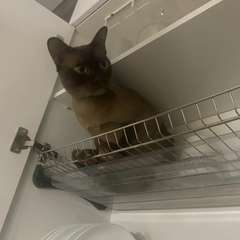 Фото отзыва 11262771