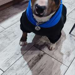 Фото отзыва 5885196