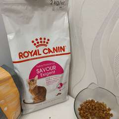 Фото отзыва 10523109