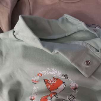 Боди 2 шт Milimbi: отзыв пользователя Детский Мир