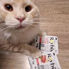 Фото отзыва 11111237