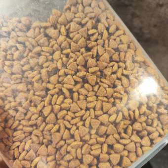 Корм для щенков ROYAL CANIN Junior миниатюрных пород 1.5кг: отзыв пользователя. Зоомагазин Зоозавр