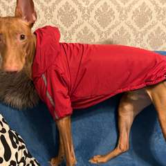 Фото отзыва 8243968