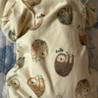 Комбинезон Baby Gо: отзыв пользователя ДетМир