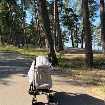 Коляска прогулочная Babyton Ellipse бежевый: отзыв пользователя Детский Мир
