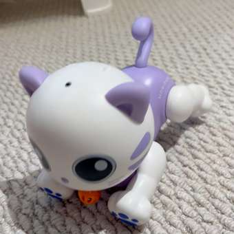 Робот РУ Mobicaro Робокот: отзыв пользователя Детский Мир