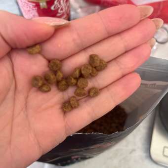 Корм сухой для щенков PRO PLAN HEALTHY START 700г с курицей для мелких и карликовых пород: отзыв пользователя. Зоомагазин Зоозавр