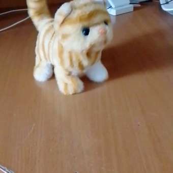 Мягкая игрушка котик: отзыв пользователя Детский Мир