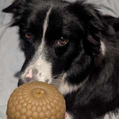 Фото отзыва 10475643