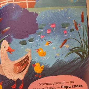 Книга Clever Баю-бай, малыши!: отзыв пользователя Детский Мир