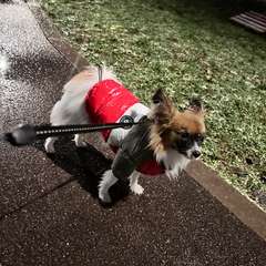 Фото отзыва 10692318