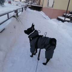 Фото отзыва 10971747