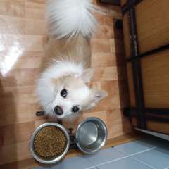 Фото отзыва 11183962