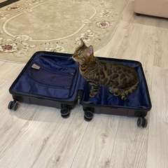 Фото отзыва 10974621