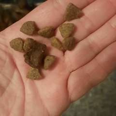 Фото отзыва 10770484