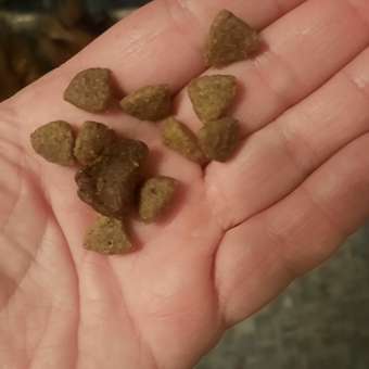 Корм для собак Purina Pro Plan 2.5кг Duo Delice мелких и карликовых пород с высоким содержанием говядины: отзыв пользователя. Зоомагазин Зоозавр