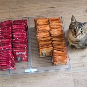 Корм для котят Harty 85г кусочки с курицей в соусе: отзыв пользователя. Зоомагазин Зоозавр