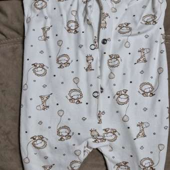 Комбинезон Рыжик: отзыв пользователя Детский Мир