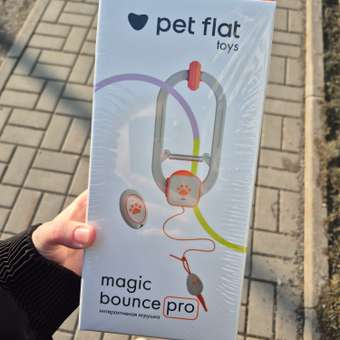 Интерактивная игрушка Pet Flat Умная дразнилка для кошек с мышкой: отзыв пользователя. Зоомагазин Зоозавр