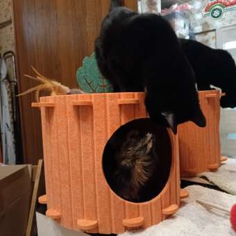 Домик Barbaks Морковка из фетра 37*37*29см: отзыв пользователя. Зоомагазин Зоозавр