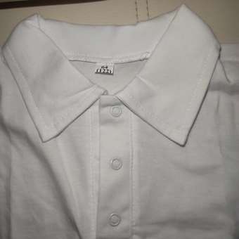 Футболка-поло Утенок: отзыв пользователя Детский Мир