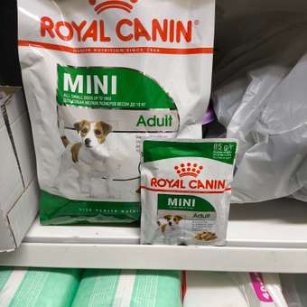 Корм для собак ROYAL CANIN мелких пород 800г: отзыв пользователя. Зоомагазин Зоозавр