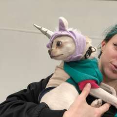 Фото отзыва 10651133