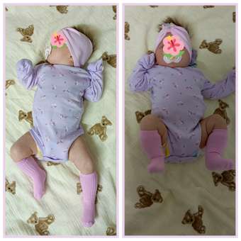 Боди BabyGо 2 шт: отзыв пользователя Детский Мир
